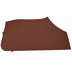 Chemise coton